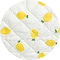 Moon Nude Lemonade - Build Your Own Bundle